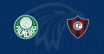 Palmeiras x Cerro Porteño: Verdão é Favorito a 1.30 na Libertadores em 12/08